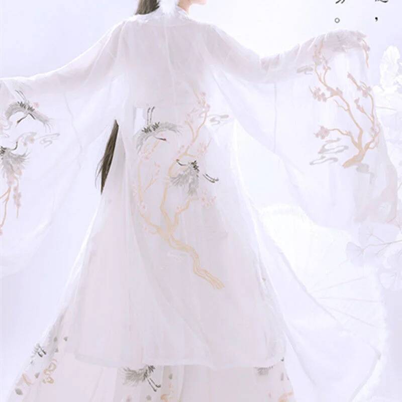 중국 고대 Hanfu 여성 중공업 자수 더블 브레스트  - Embroidery Shirt 리뷰 및 가격